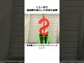 ハエ一匹で清掃費を減らした空港の秘密