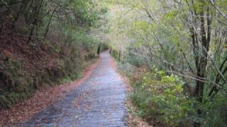 Galicia, Terra de Meigas (Parque Natural Fragas do Eume)