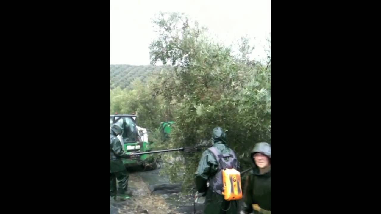 Herdade Vale de Barqueiros - Colheita da Azeitona (2011) 720p.mov