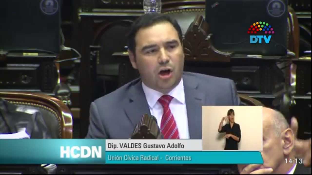 Dip. Gustavo Valdes - Sesión Ordinaria 29.04.2015 HCDN