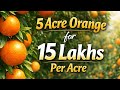 5 Acre Orange Farm For Sale In Katol Nagpur 