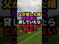 父の形見である畑を従兄弟に貸したらとんでもないことに