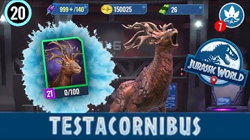 TESTACORNIBUS UNLOCKED + A GREAT BATTLE!!! - Jurassic World Alive (500 sub special)