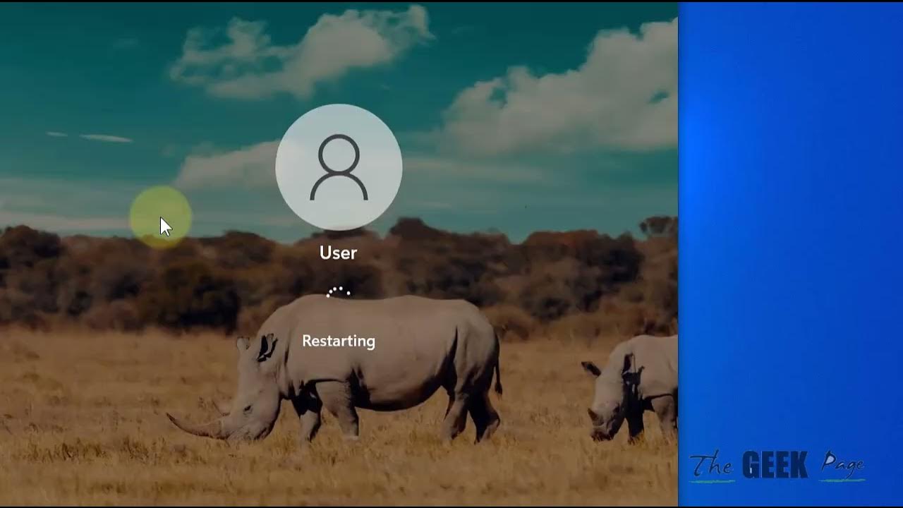 Windows Media Player not Opening in Windows 11 Fix YouTube