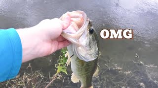 Epic Monster Fish Battle | Pro Fishing Secrets That Actually Work 🎣🐟