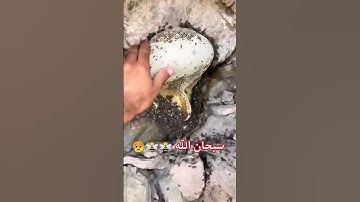 #سورة_النحل #محمد_اللحيدان #القرآن_الكريم #راحة_نفسية #quran #اكسبلور_فولو #ترند #قرآن #explore 🤲