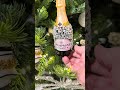 Raz 6" Champagne Bottle Glass Christmas Ornament 4652984
