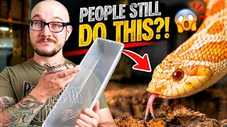5 HUGE Changes in Reptiles in the next 10 Years