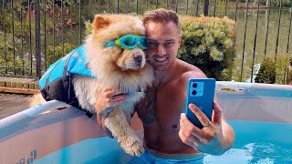 Funniest Dog Videos | Try Not To Laugh| Carl Cunard & Carter Chow Chow