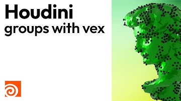 Houdini - groups with vex