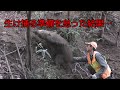 生け捕り時の要である保定具が壊れておりました…