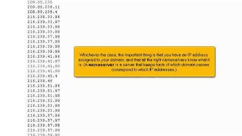 What is an IP address? Do I need a Dedicated IP?