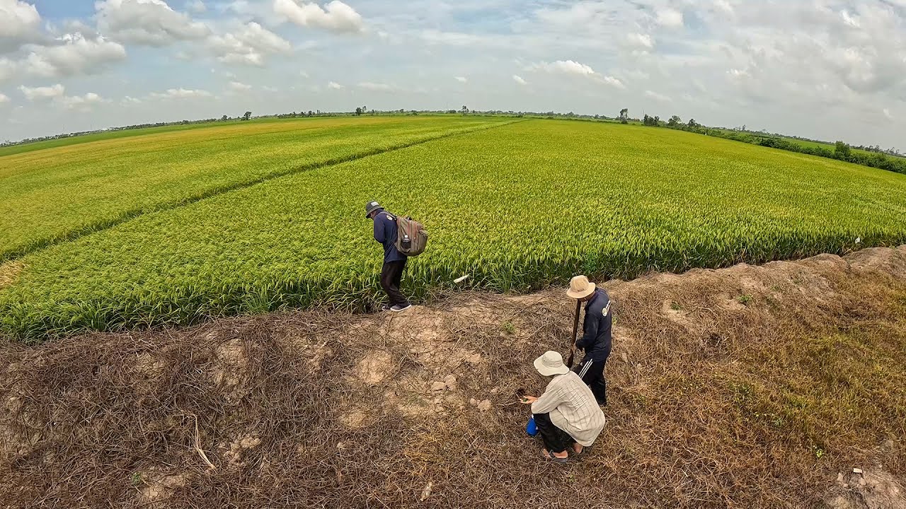 Quay Lại Nơi Từng Bắt Được Rắn Độc Nhiều Nhất | TGSB #1170