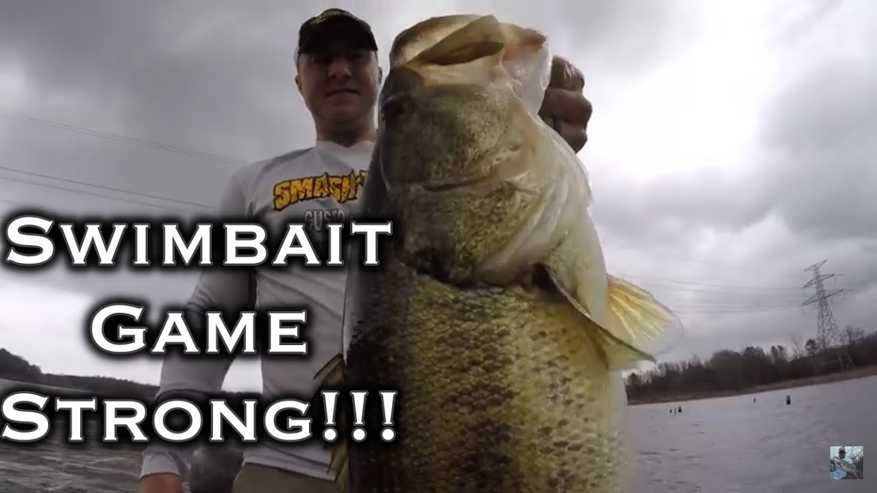 Bass Fishing  Pre Spawn Swimbait Big Bite!!!
