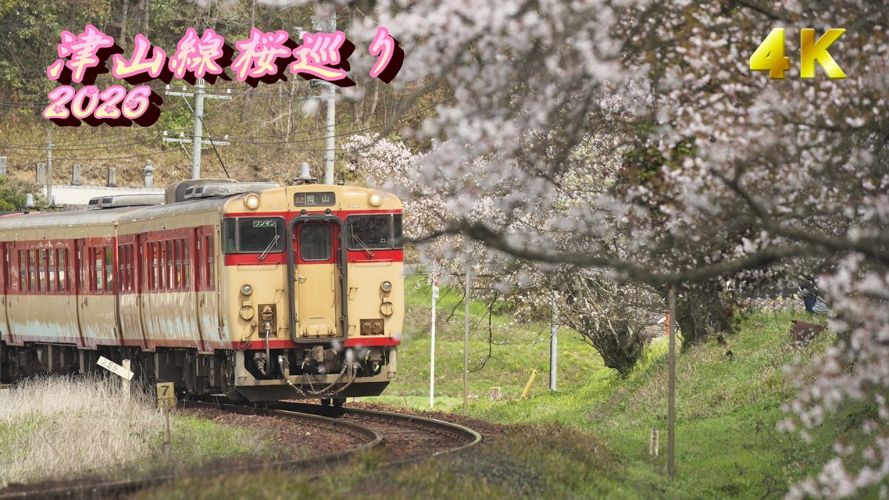 4K60P NoBGM】津山線の桜 2026年4月 - YouTube
