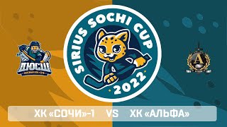Хоккейный матч ХК «Сочи - 1» - ХК «Альфа»