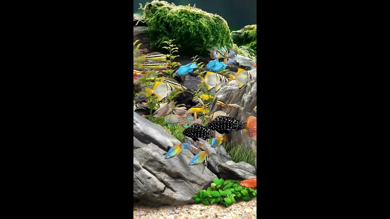 📌"Ultimate Guide to Digital Marketing 2024:🚀 SEO, PPC, Social Media & Online Advertising Explained"