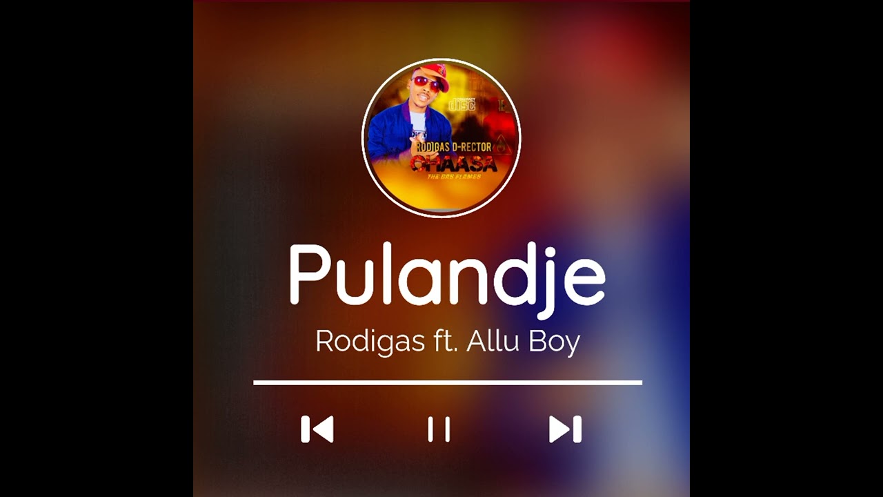 Rodigas D-rector ft. Allu Boy_-_Pulandje (Track 09) Album 2024 (official audio)