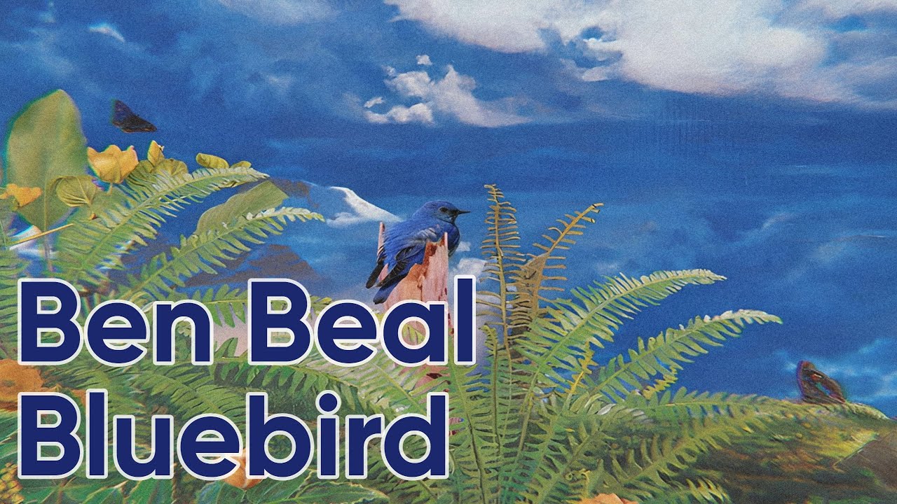 Ben Beal & Kill Bill: The Rapper - Bluebird - Sub. español