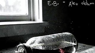 E.b. - Alev Oldum