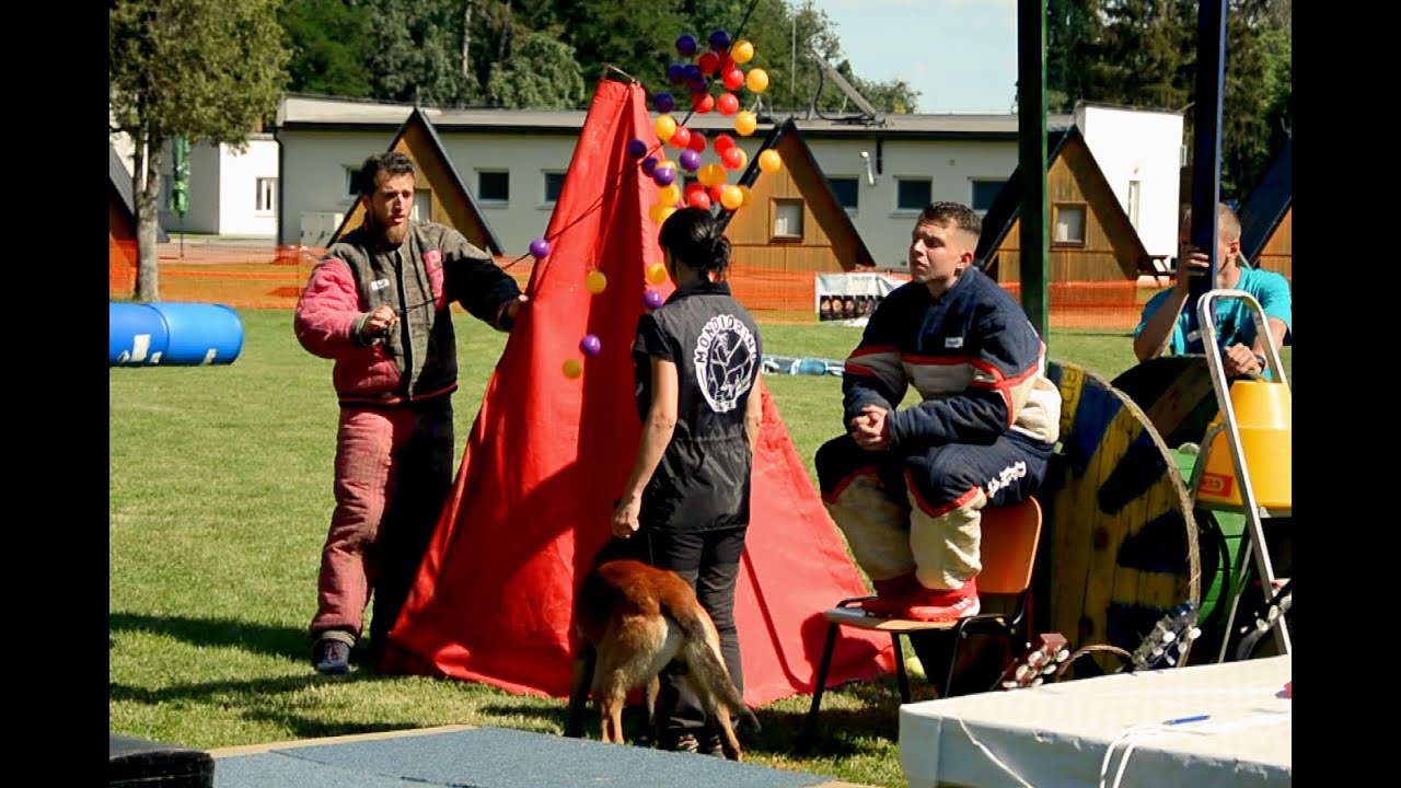 Czech and Austrian mondioring championship 2022