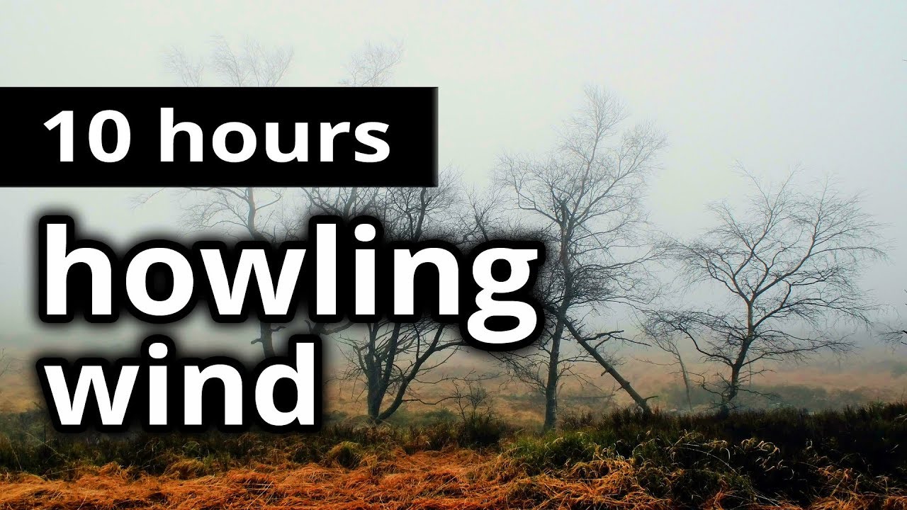 WIND SOUNDS "Howling Wind" 10 HOURS A whistling wind outside on