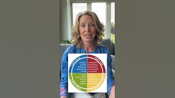 Brief Insights Discovery Profile Overview #selfawareness #powerfulperspectives #buildingresilience