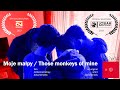 Those monkeys of mine  an original short documentary feat filmotwr niezaleny  brain