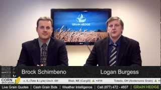 GrainTV - January 8th, 2013