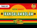 IKAN DALAM KOLAM - HUSEIN BAWAFIE (Reggae Karaoke Female Key) By Daehan Musik