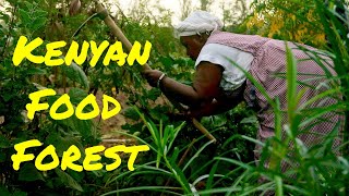 Beautiful African FOOD FOREST - Five Things to Learn