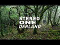 Stereo onederland  cube bikes official
