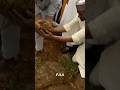 FINAL FUNERAL OF BUHARI 🥲🠊️ How President Muhammadu Buhari Was Buried In Hids Daura Home Buhari FINAL FUNERAL OF BUHARI 🥲🠊️ How President Muhammadu Buhari Was Buried In Hids Daura Home Buhari