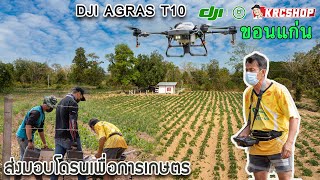 โดรนเกษตร DJI T10 ขนาด 10 ลิตร จิ๋วแจ๋ว พ่นยารวดเร็วแม่นยำ มีกันชน ประจำการ ไร่มัน ขอนแก่น