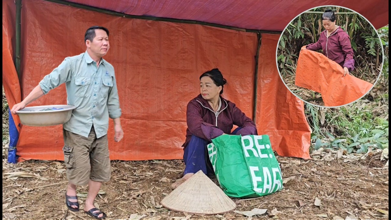 Mr. Ha did not know that his wife had built a shelter in the forest