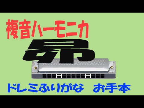 昴 Ｃ調複音ハーモニカ ドレミ光るお手本