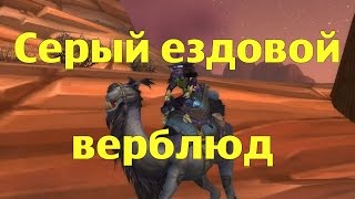 Где падает Серый ездовой верблюд