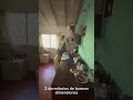 Obligado
