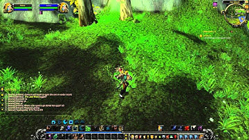 Mists of Pandaria Beta - New Druid Forms Detailed