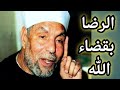 كلمات ثمينة عن الرضا بقضاء الله وقدره الشيخ محمد متولي الشعراوي كلمات ثمينة عن الرضا بقضاء الله وقدره الشيخ محمد متولي الشعراوي