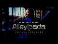 SUNMISOLA AGBEBI - AILEYIPADA VIDEO WITH LYRICS.