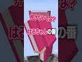 最高高度から水着地チャレンジ🪂🧺【マイクラ / まいくら】#shorts