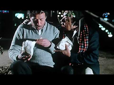 حرامي بيجري واره حرامي