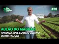 VARIAS DICAS PARA VOCE QUE TEM HORTA! AULÃO DO MAGRÃO - MAGRÃO VIDEOCAST #81