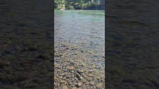 Amazingly Beautiful River! (Springfield, OR)