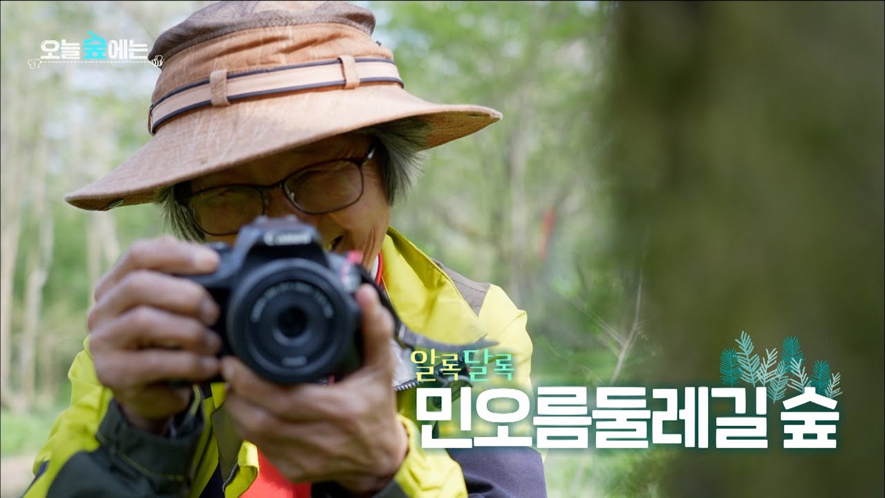 발밑에서 조용하지만 아름답게 피어나는 봄꽃 가득한 오늘숲에는 [민오름둘레길 숲] KBS제주 보물섬 250429