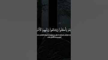 الر تِلْكَ آيَاتُ الْكِتَابِ وَقُرْآنٍ مُبِينٍ  || القارئ : هزاع البلوشي / سورة ~ الحجر #قرآن #quran