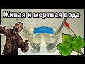 Живая и мёртвая вода, получение. Подготовка к эксперименту.