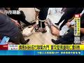 社會刑案與暴力犯罪事件