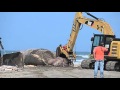 Raw Video: Workers cut up beached whale for disposal